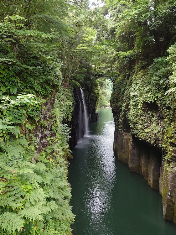 の投稿画像3枚目