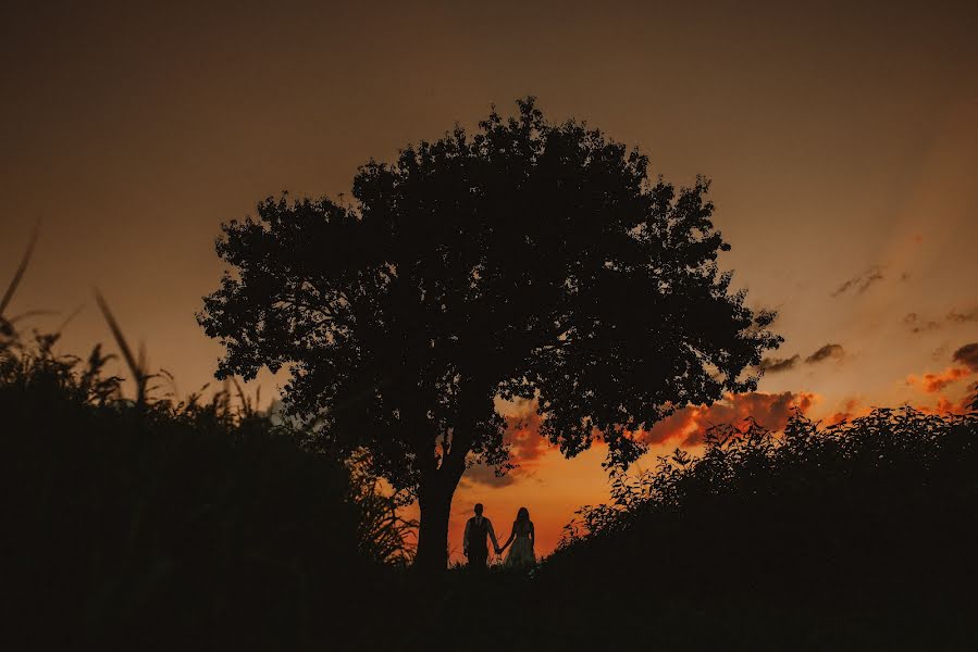 Wedding photographer Agata Stępniowska (agataste). Photo of 28 August 2020