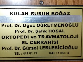 Prof. Dr. Gürsel Leblebicioğlu