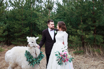 Fotografo di matrimoni Anastasiya Ponomarenko (staseyrozen). Foto del 29 febbraio 2016