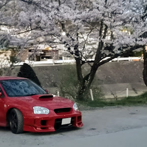 インプレッサ WRX STI