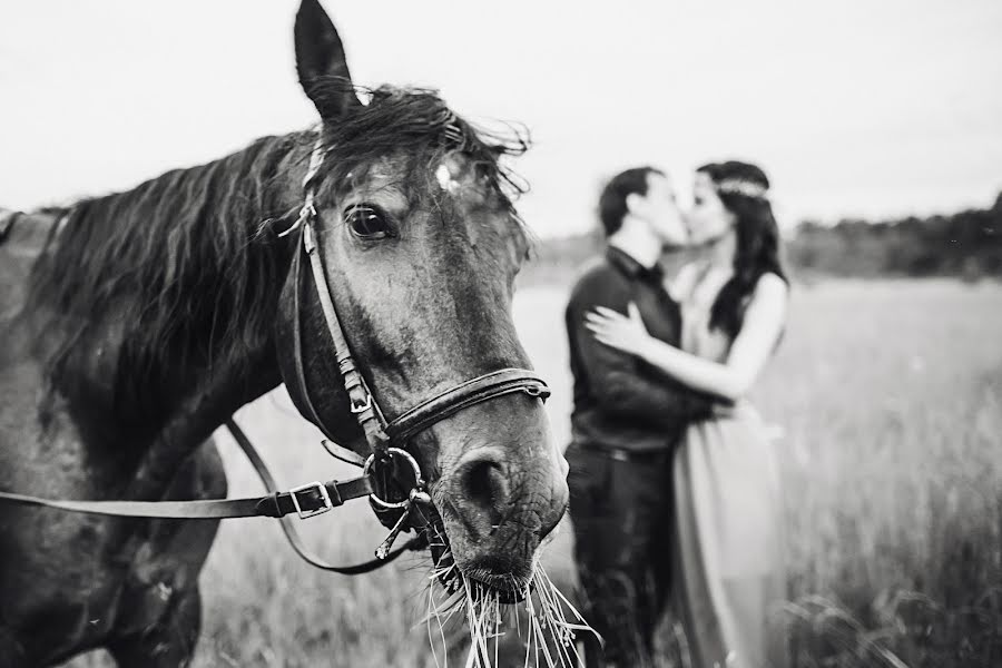 Fotógrafo de casamento Anastasiya Nikolaeva (a-nik86). Foto de 1 de julho 2016