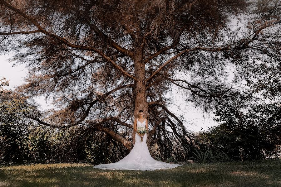 Fotografo di matrimoni Paulo Pinto (paulopinto). Foto del 30 novembre 2022