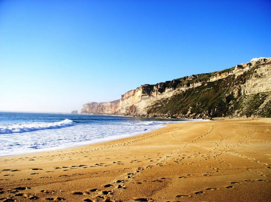 Ultima spiaggia? di assucap