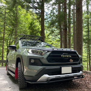 C-HR NGX50