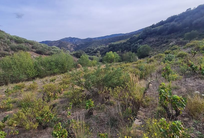  Vente Terrain agricole - 10 225m² à Banyuls-sur-Mer (66650) 