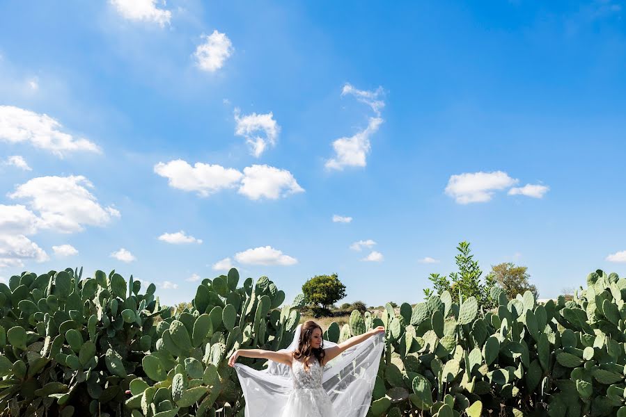 Pulmafotograaf Angelo Alborino (alborino). Foto tehtud 14 veebruar 2023