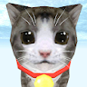 Cat Simulator icon