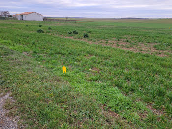 terrain à Champigny en Rochereau (86)