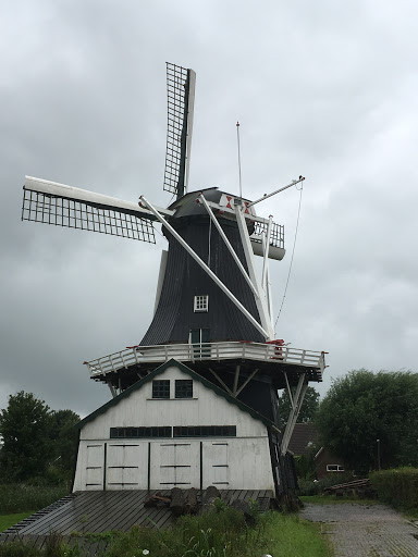 Zaagmolen in de sneeuw