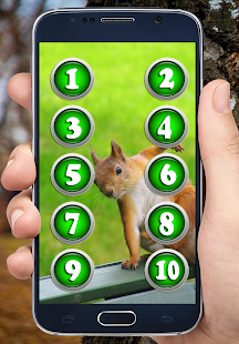 Sounds of Squirrels(圖2)-速報App