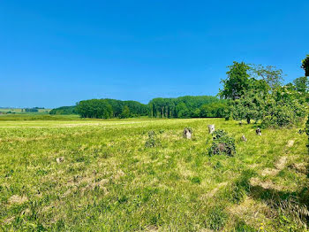 terrain à Crisolles (60)