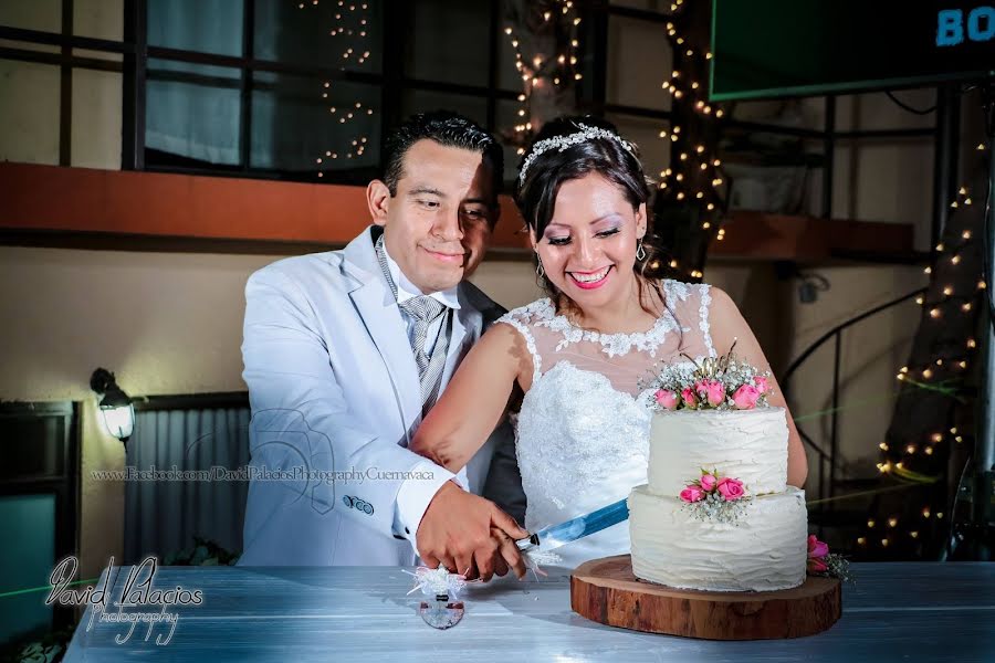 Fotógrafo de bodas David Palacios (davidpalacios). Foto del 20 de julio 2019