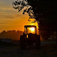 Il sole dentro di 