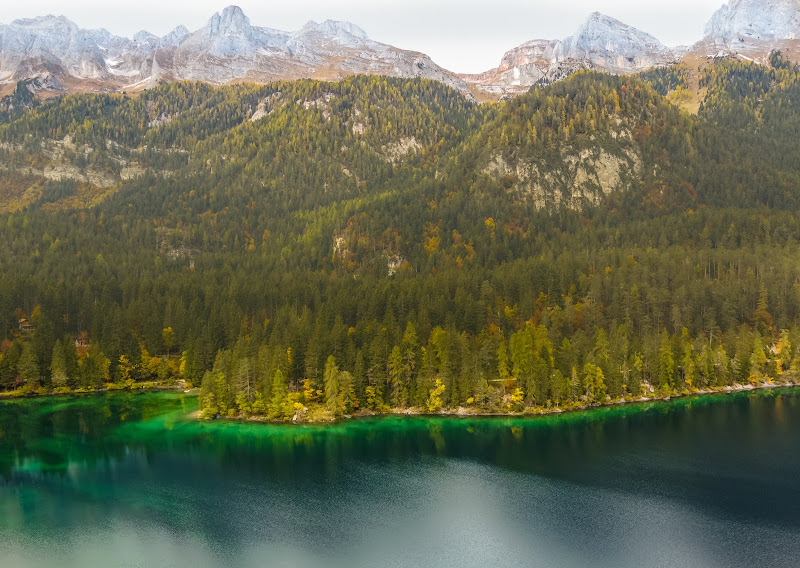 il bosco sul lago di renatoxxx