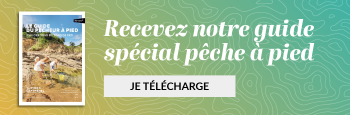 Téléchargez le guide spécial pêche à pied à Dinan-Cap Fréhel