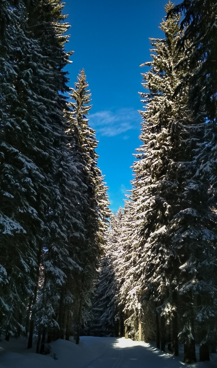 On the road di Pietro_grigo