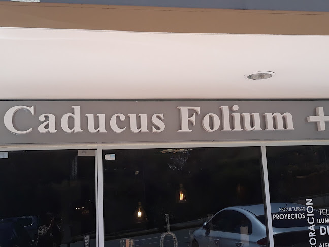 Opiniones de Caducus Folium en Quito - Interiorista