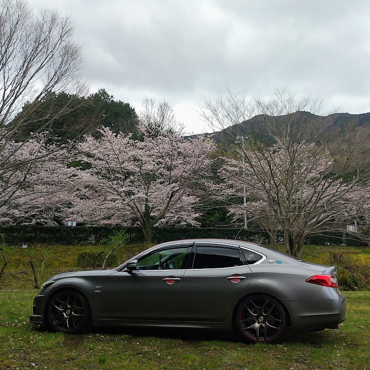 フーガの奈良県葛城市大字平岡地区・葛城山麓公園入り口周辺・木欄と桜🌸に関するカスタム事例の投稿画像6枚目