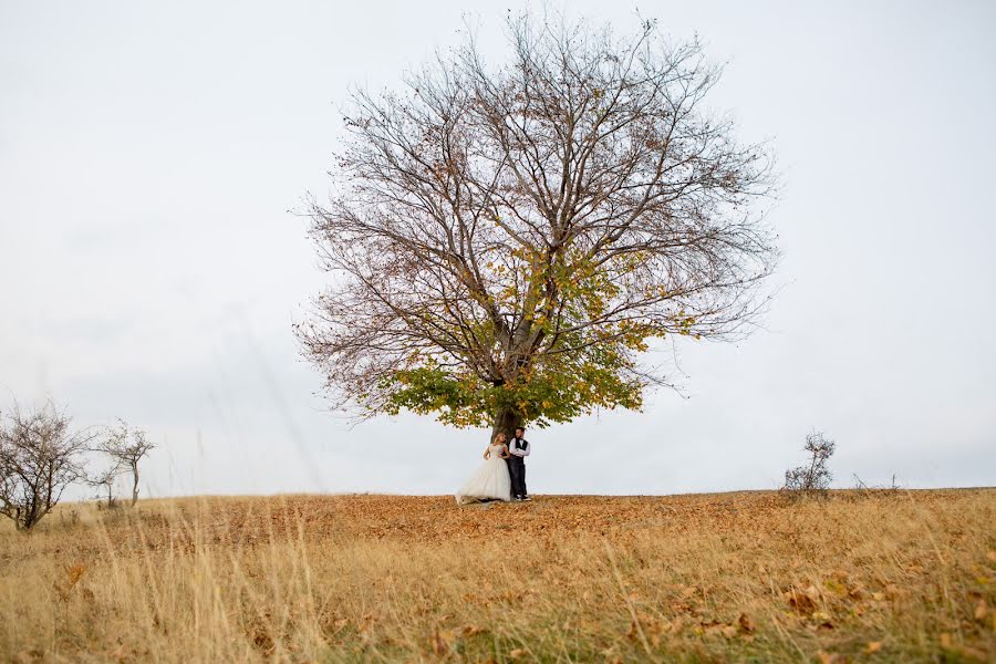 Düğün fotoğrafçısı Vasile Vana (licav). 17 Nisan 2019 fotoları