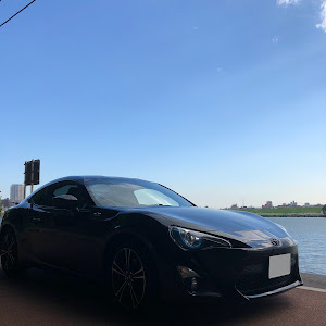 86 ZN6