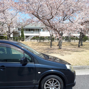 ラフェスタ ハイウェイスター