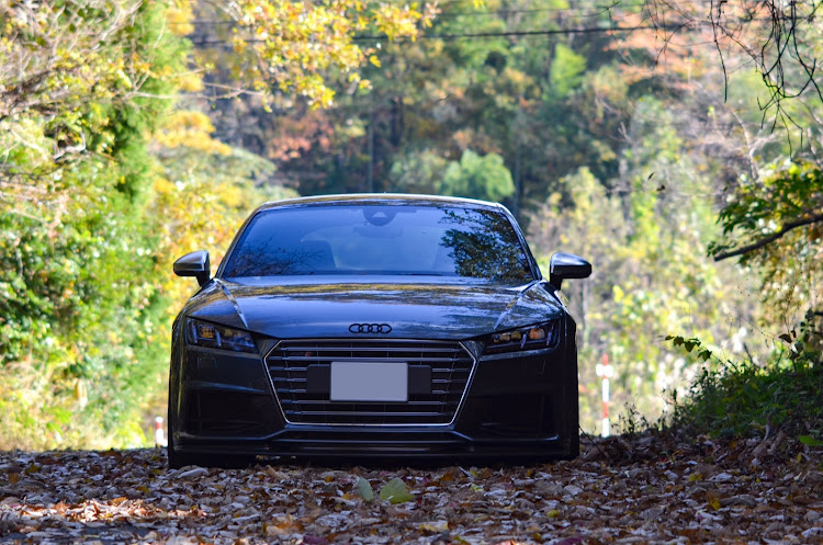 TTSクーペの紅葉ドライブ・カメラの練習に関するカスタム事例の投稿画像7枚目