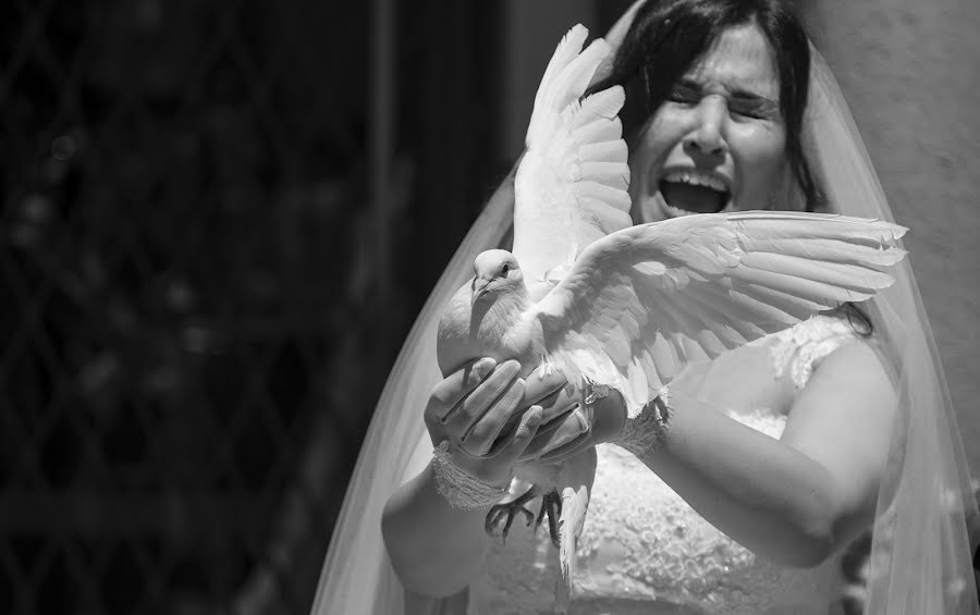 Wedding photographer Stefano Ferrier (stefanoferrier). Photo of 5 June 2017