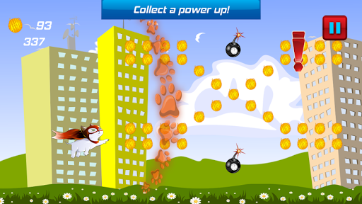 Superhero Flying Cat