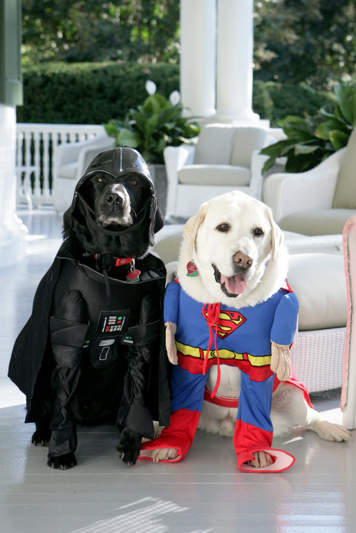 File:Cheney&#39;s dogs dressed for halloween.jpg - Wikimedia Commons