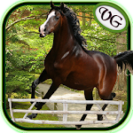 Cover Image of Download Arabian Horse Jumping 1.8 APK