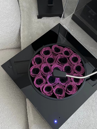 Title 11, Bowknot Spherical Flower Pot with Black Plum Pr...