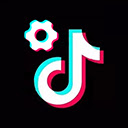 Tiktok Downloader & Analyzer