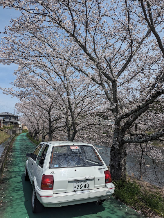 の投稿画像1枚目