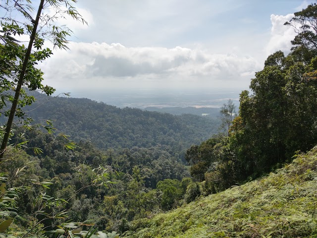 Mount Pulai peak