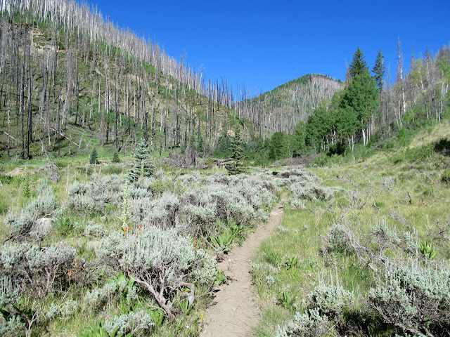 Lower Flood Canyon