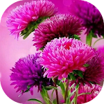 Cover Image of Download Imágenes de flores hermosas 1.0 APK