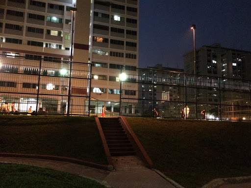 Hidden Caged Basketball Court