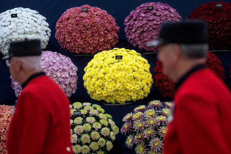 An array of chrysanthemums for Sagittarius.