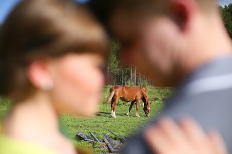 Bryllupsfotograf Anna Stenina (annastenina86). Bilde av 9 juli 2015