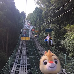 高尾山さる園・野草園