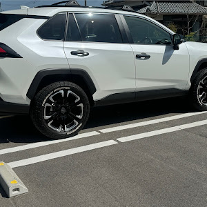 RAV4 MXAA54