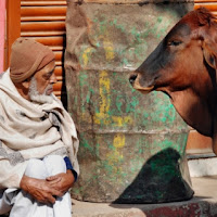 Uno sguardo sull'India di 