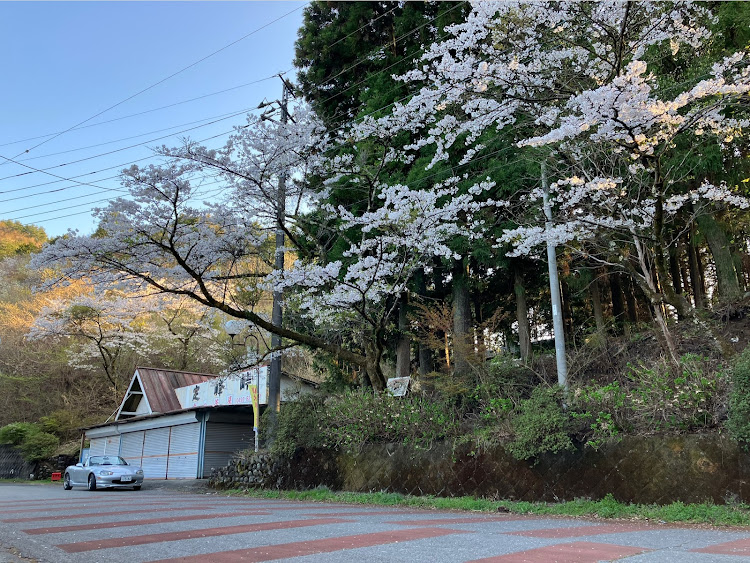 ロードスターの定位置・定峰峠・桜・トレッドウェアに関するカスタム事例の投稿画像4枚目