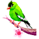 Cover Image of Descargar Birds Color by Number: Pixel Art, Sandbox Coloring 3.2 APK