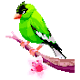 Birds Color by Number: Pixel Art, Sandbox Coloring Download on Windows