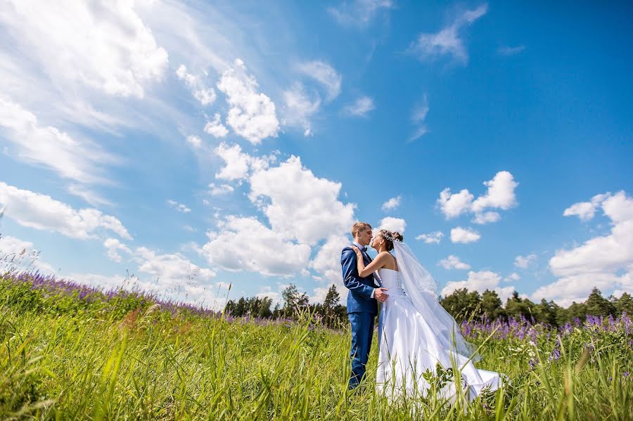 Photographe de mariage Elena Fedulova (fedulova). Photo du 11 juillet 2013