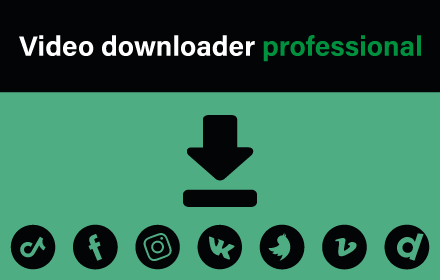 Video Downloader Professional Preview image 0