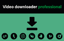 Video Downloader Professional small promo image