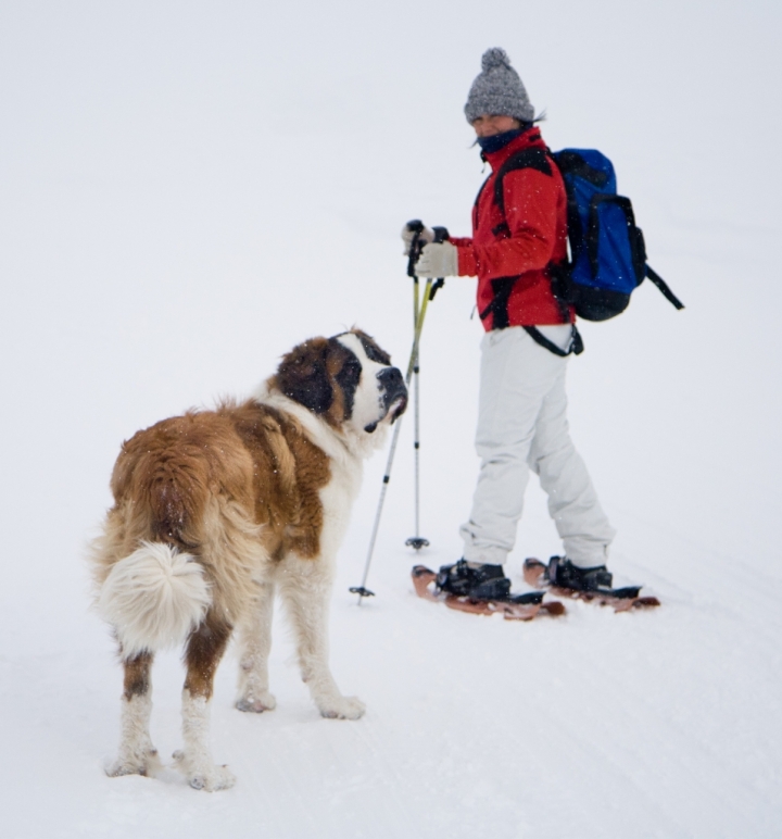 Compagni di cammino di MicheleFaggian